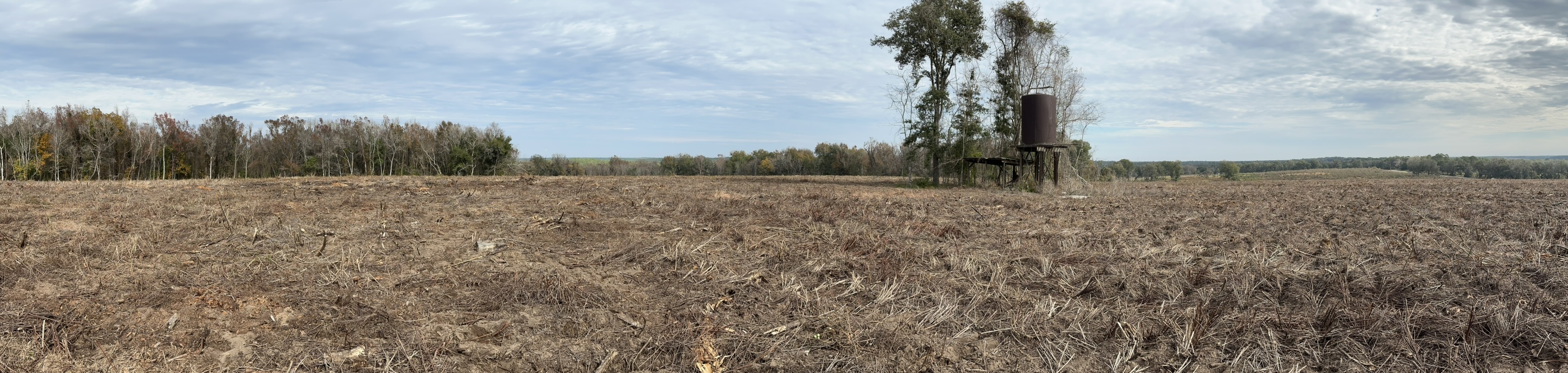 ridge panorama